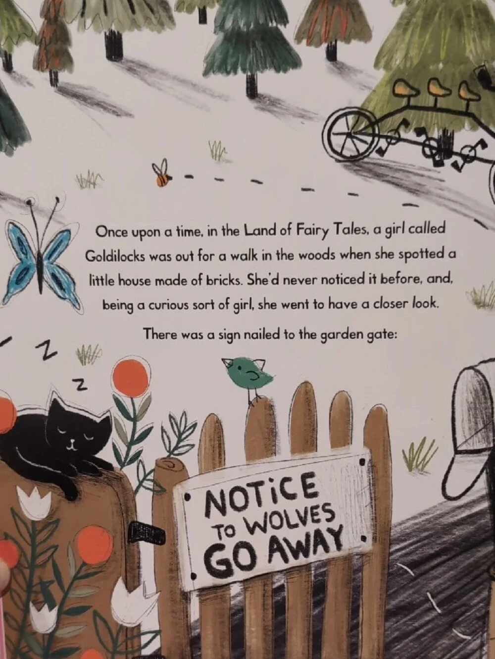 The Wrong Fairy Tale Books